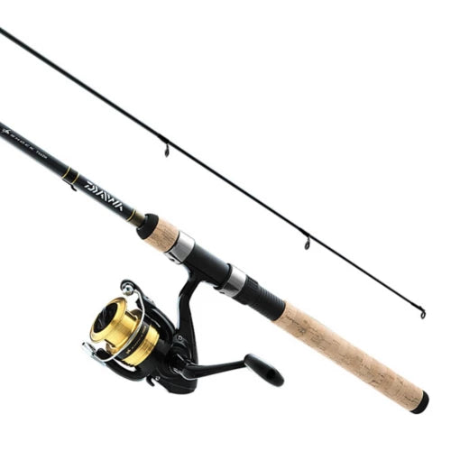 D-Shock Combo 1BB Gold