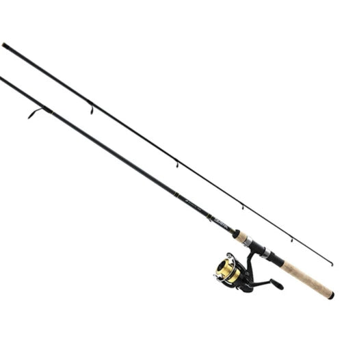 D-Shock Combo 1BB Gold