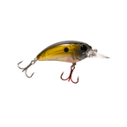 Seeker 6